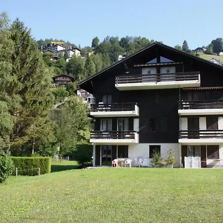 Soerenweg 5 By Interhome Engelberg