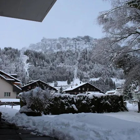 Soerenweg 5 Appartement-fewo 2-bettwohnung By Interhome Engelberg