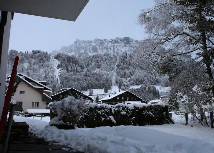 Soerenweg 5 By Interhome 公寓 *